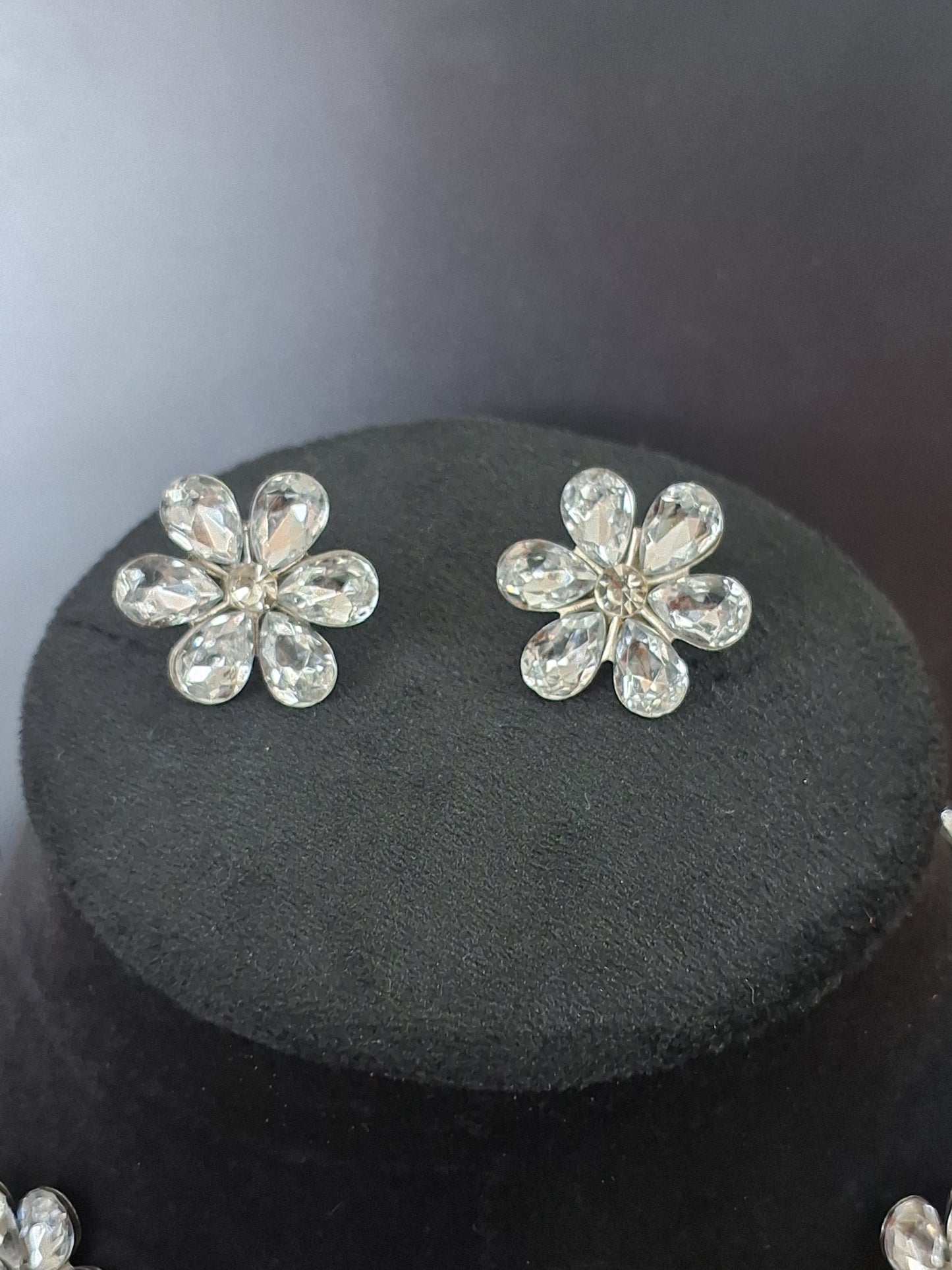 Silver Colour Flower design Necklace with Earring